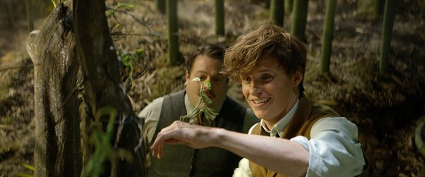 fantastic-beasts-and-where-to-find-them-eddie-redmayne-dan-fogler-600x251